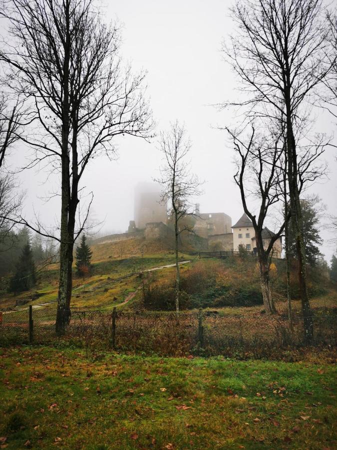 Penzion Landstejnsky Dvur Slavonice Exterior photo
